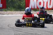 20110501_ales_agnus (2411)